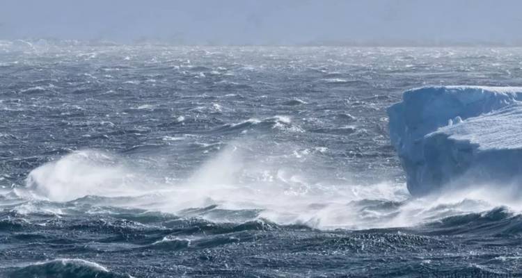 RUTA EXTRAORDINARIA: EXPEDICIÓN AUSTRAL MÁS ALLÁ DEL CÍRCULO POLAR SUR HASTA LA PLATAFORMA DE HIELO WILKINS - Inventia 7