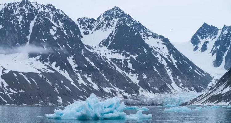 Grande expédition sur la nature et la faune autour du Svalbard, max. 12 passagers à bord - Inventia 3