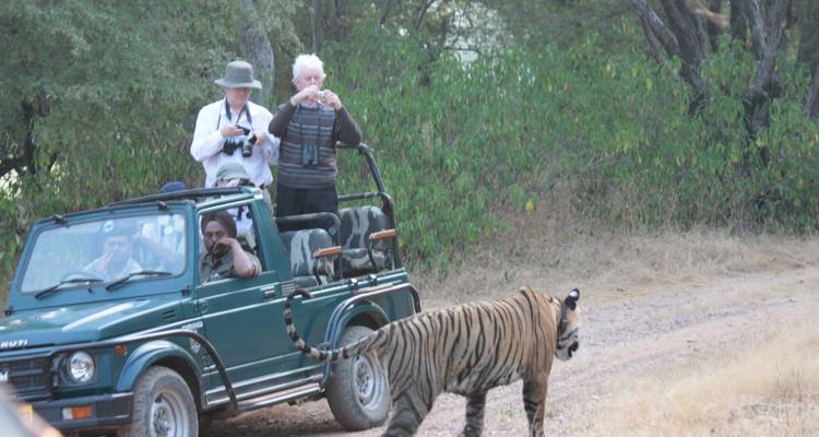 Experience Taj Mahal and Wildlife with a Royal Stay in Castles - Memorable India Journeys 3