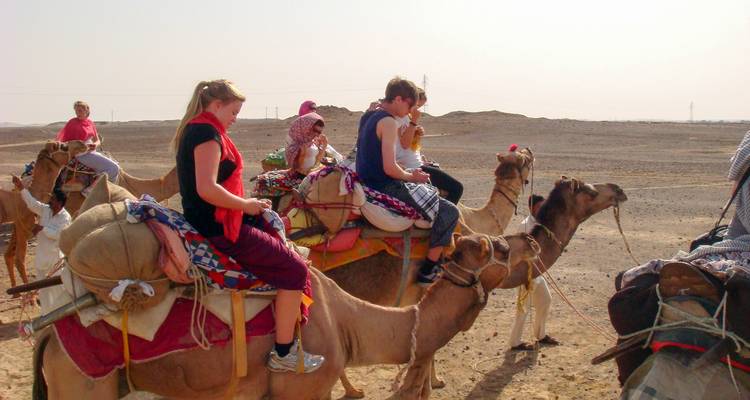 Experience Taj Mahal and Wildlife with a Royal Stay in Castles - Memorable India Journeys 10