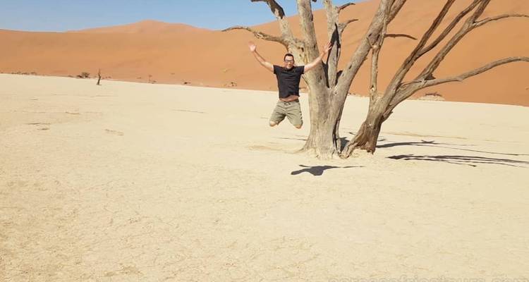 Person jumping near a dead tree in the desert.