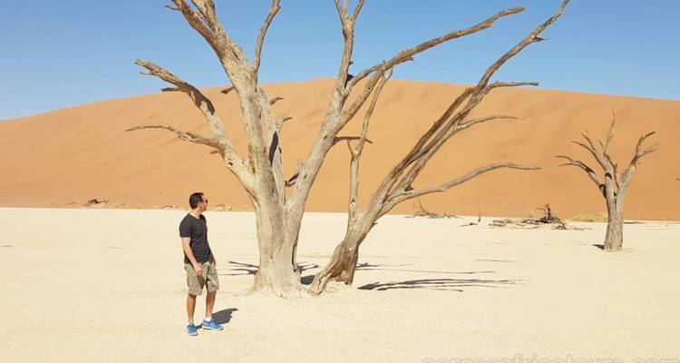 Person standing next to a dead tree in the desert.
