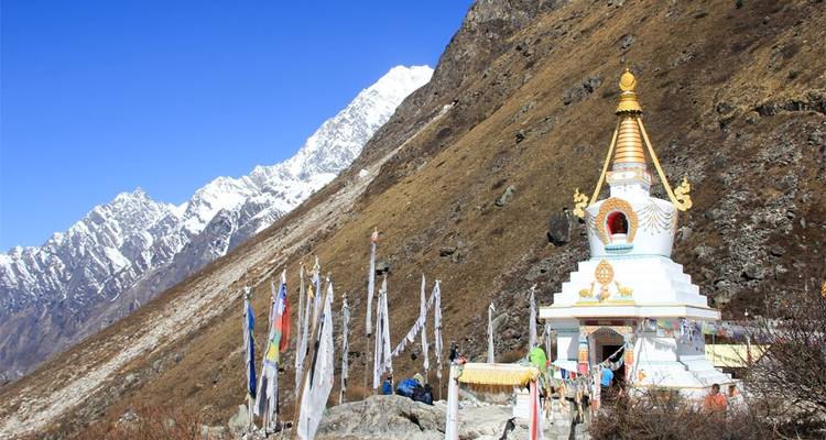 Trek dans la vallée de Langtang - 7 jours - Frolic Adventure Pvt. Ltd. 2
