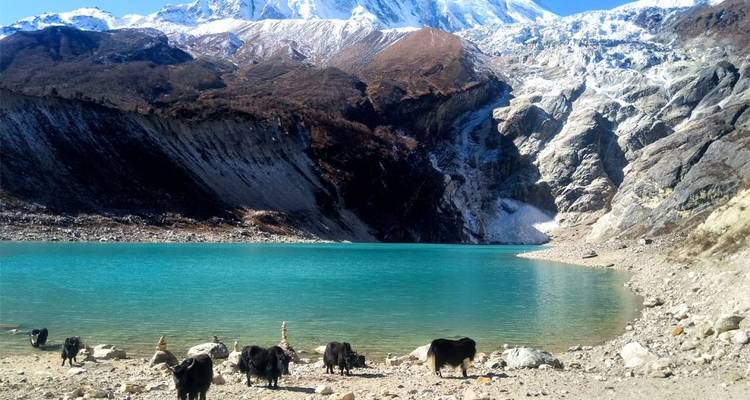 Manaslu Circuit Trek - 12 Days - Frolic Adventure Pvt. Ltd. 1