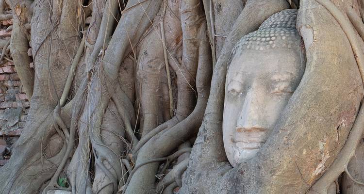 River Kwai & Northern Thailand - 8 days - On The Go Tours 8