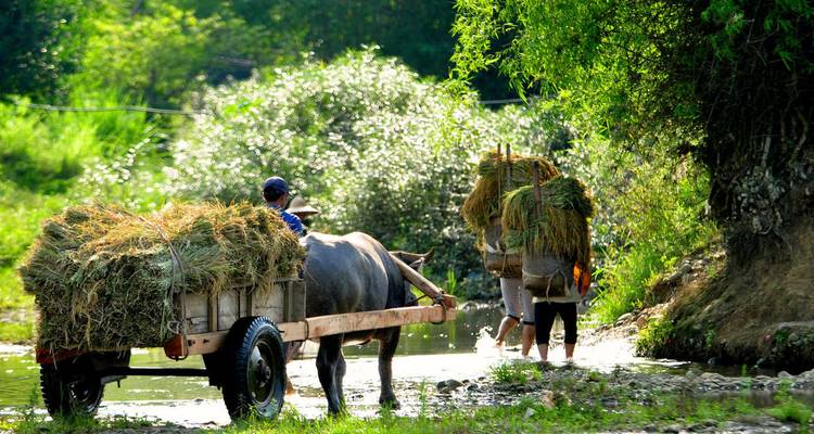 Upgraded - Vietnam and Angkor - Explore! 4