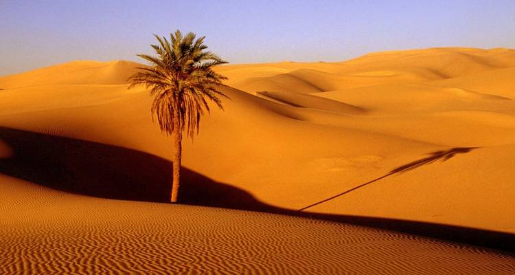 Mosaïques marocaines : une exploration riche en couleurs - CHECK INN MOROCCO 10