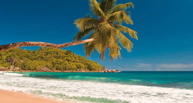 Tropisch strand met palmbomen en turquoise wateren.