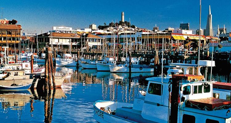 Drukke jachthaven met aangemeerde boten, gebouwen op de achtergrond.