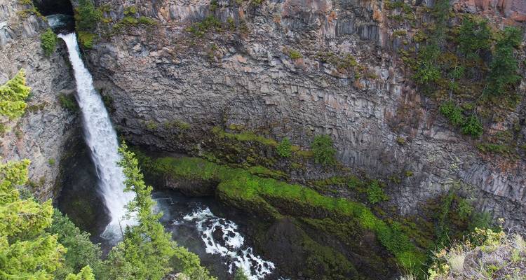 Une étroite cascade se jette dans un profond canyon rocheux entouré de conifères.