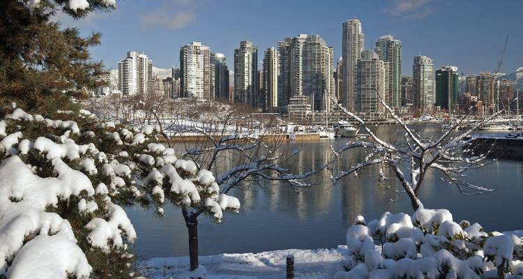 Los árboles cubiertos de nieve enmarcan el skyline moderno de Vancouver reflejado en el agua tranquila del puerto.