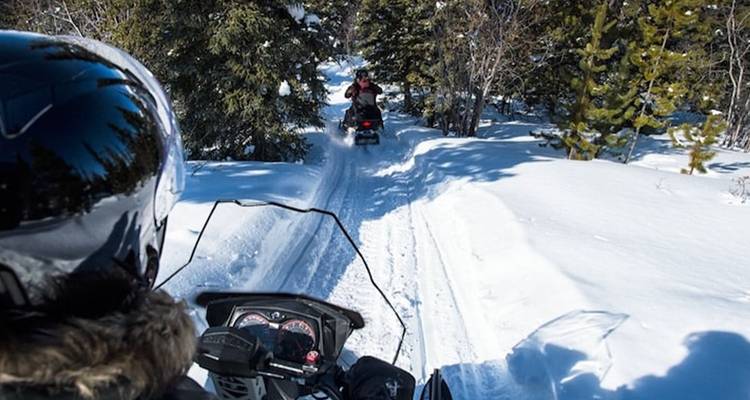 Les motoneigistes traçant une nouvelle piste à travers une forêt enneigée sous un brillant soleil hivernal.