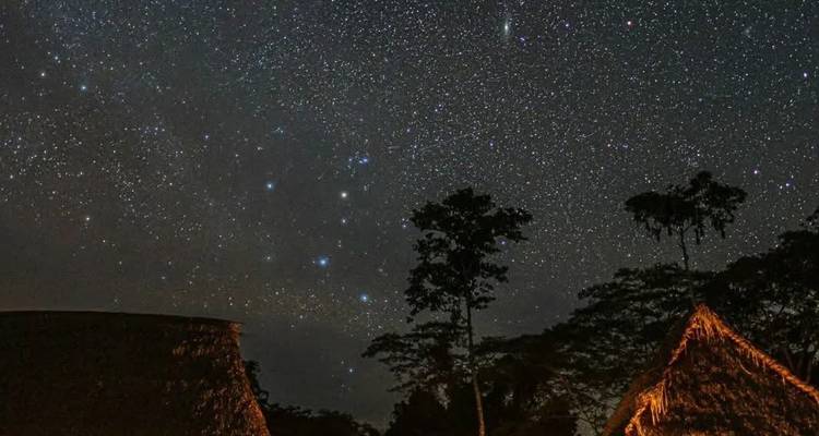 Ciel nocturne étoilé au-dessus de la silhouette des arbres de la forêt tropicale et des lodges aux toits de chaume