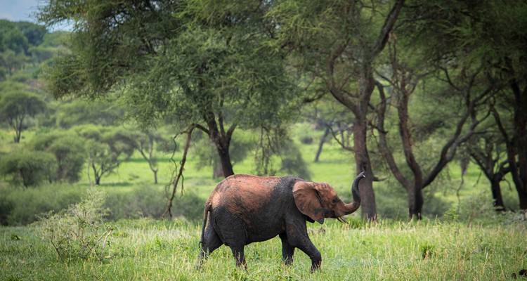 6 días explorando las maravillas doradas del norte de Tanzania - Akondo Adventures 2