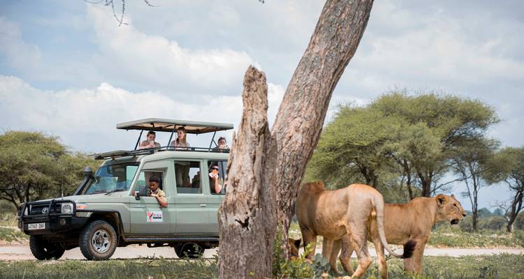 6 días explorando las maravillas doradas del norte de Tanzania - Akondo Adventures 4