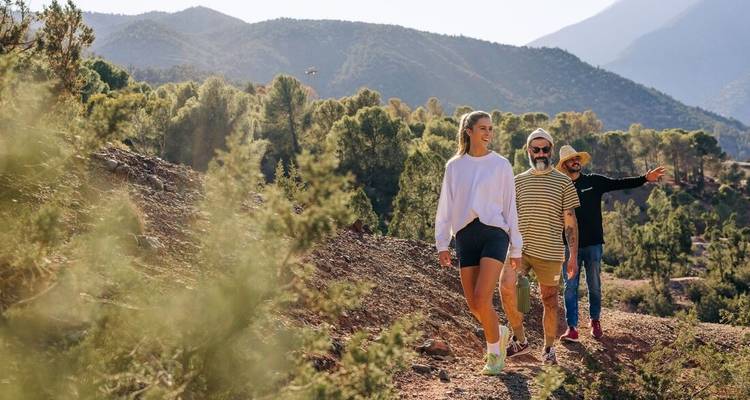 Group of people hiking in a hilly area with green trees