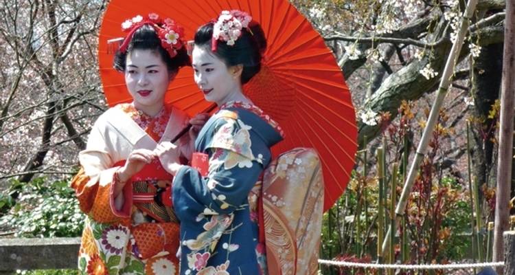 Japón encantador (incl. vuelo) - MEIERS WELTREISEN 2