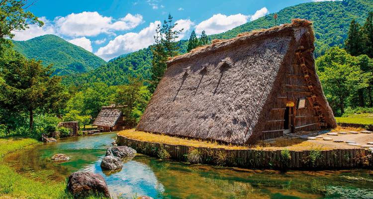 Traditional Gassho-style houses in Shirakawa-go surrounded by greenery.