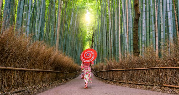 Le Japon pour les individualistes (vol inclus) - MEIERS WELTREISEN 3