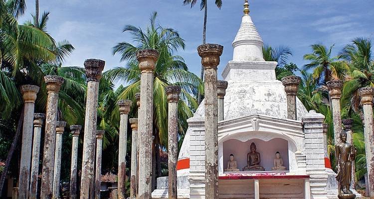 Sri Lanka intensivo - MEIERS WELTREISEN 2