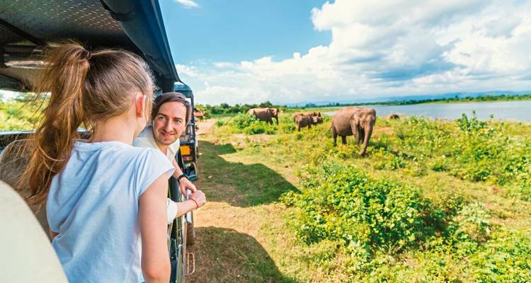 People on a jeep safari watching elephants in the wild.