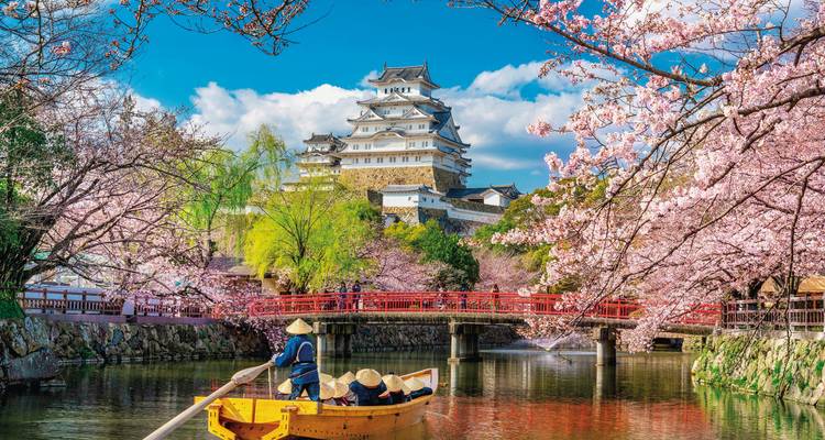 Traditional Japanese boat in a canal with castle and cherry blossoms nearby.