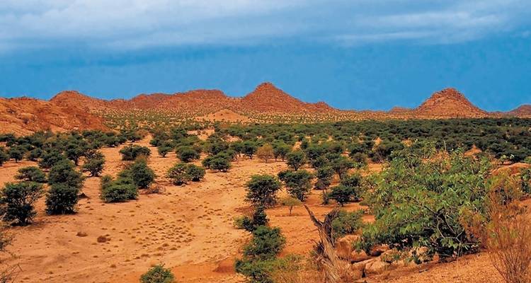 Norma Caleidoscopio de Namibia - MEIERS WELTREISEN 5