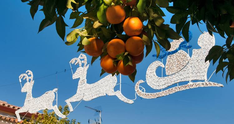 Cluster of ripe oranges hangs from leafy branches against a blue sky with festive silhouette decorations.