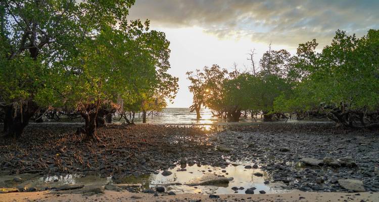 Aventure marine à Madagascar (voyage de groupe) - Là où la forêt rencontre la mer - Mora-Travel S.A.R.L. 3