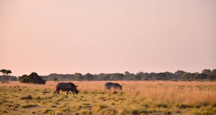 Botsuana - Trans Kalahari - Sunway Safaris 2