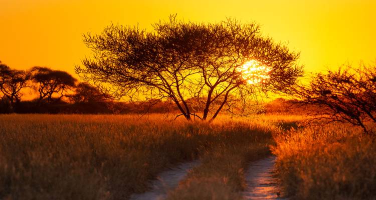 Botsuana - Trans Kalahari - Sunway Safaris 8