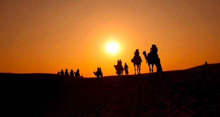 Silhouette von Menschen, die Kamele gegen die untergehende Sonne reiten.