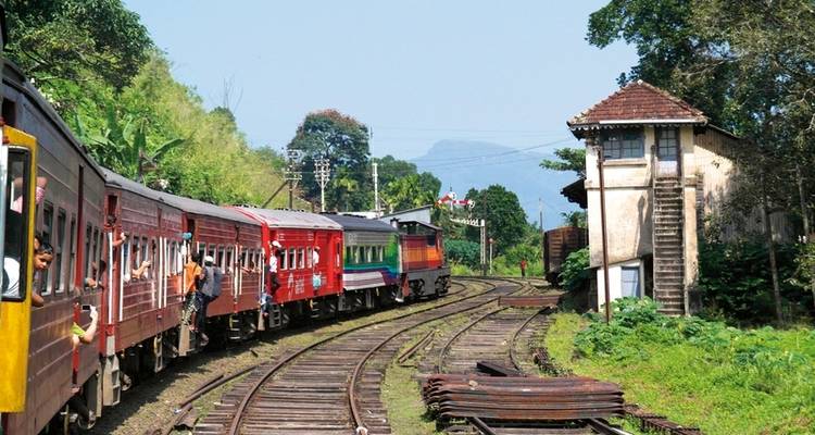 Lo más destacado de la cultura de Sri Lanka y las tierras altas (viaje privado) - MEIERS WELTREISEN 4