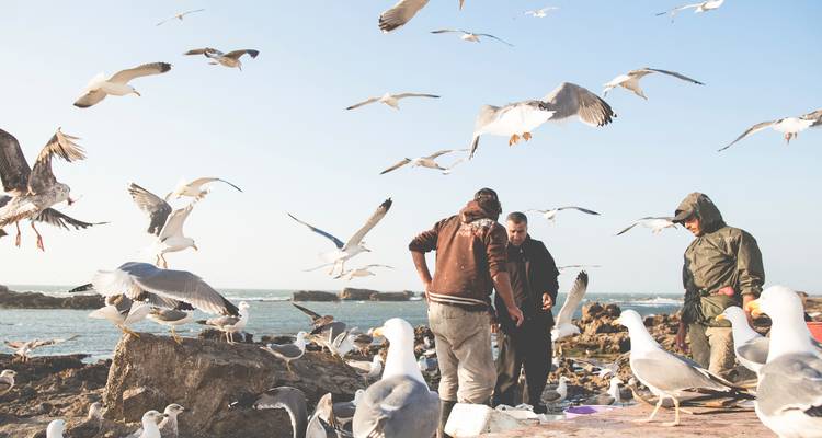 Excursión privada de un día a Essaouira desde Marrakech - Costa Atlántica, vistas panorámicas y encanto costero - My Morocco Tours 8