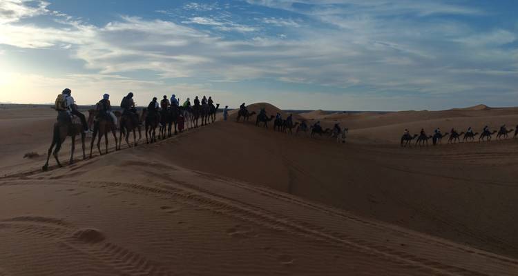 Caravane de chameaux traversant les dunes de sable sous un ciel dégagé.