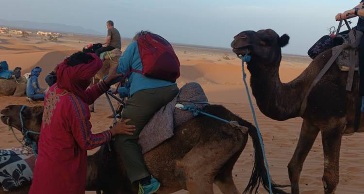 Des touristes se préparant pour une promenade à dos de chameau dans un environnement désertique.