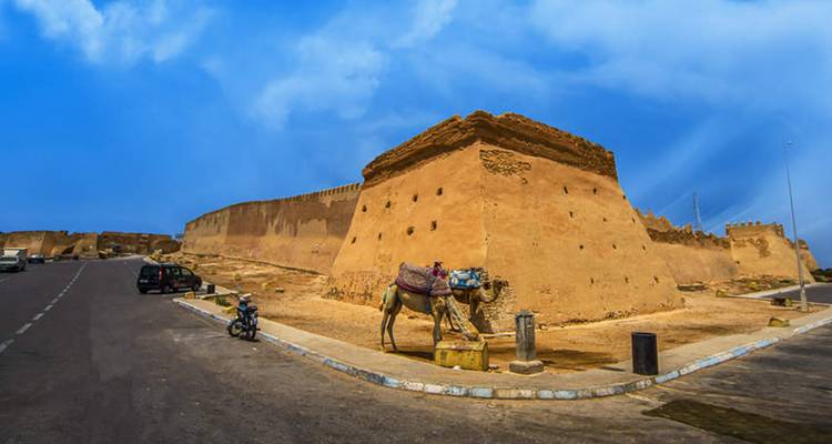 Excursión Privada de un Día a Agadir desde Marrakech - Costa Atlántica, Fauna Exótica y Monte Oufella - My Morocco Tours 7