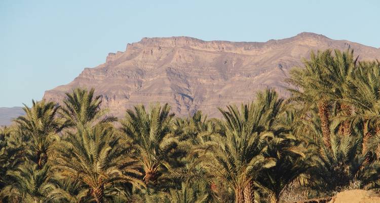 Excursión Privada Exclusiva de 2 Días al Desierto de Zagora desde Marrakech - My Morocco Tours 9