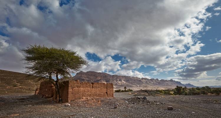 Excursión Privada Exclusiva de 2 Días al Desierto de Zagora desde Marrakech - My Morocco Tours 7