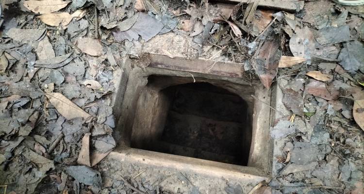 Ein Eingang zu einem unterirdischen Tunnel, umgeben von Blättern.