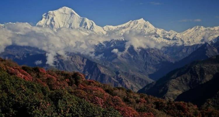 Annapurna Ghorepani Poon Hill Trek - Nepal Social Treks 3