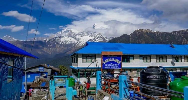 Annapurna Ghorepani Poon Hill Trek - Nepal Social Treks 6