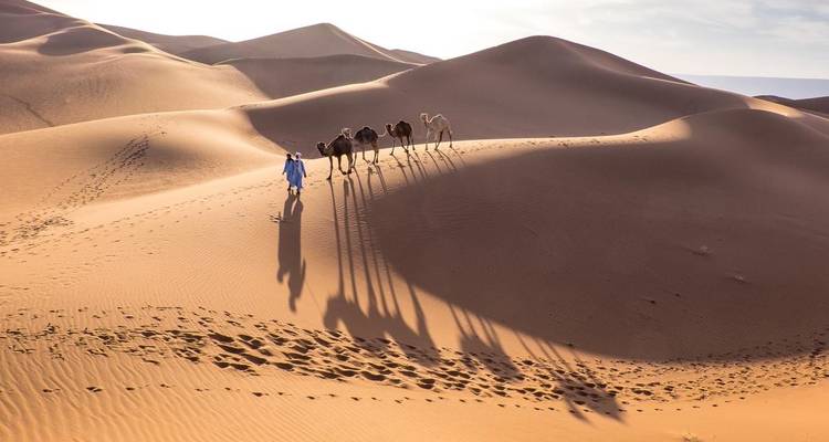 Casablanca to Marrakech: Desert Adventure Tour - Best Tours Morocco 2