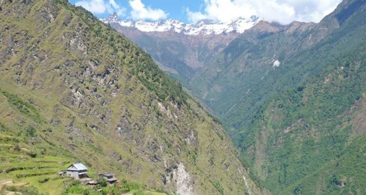 Paysage montagneux avec une végétation luxuriante et des sommets enneigés.
