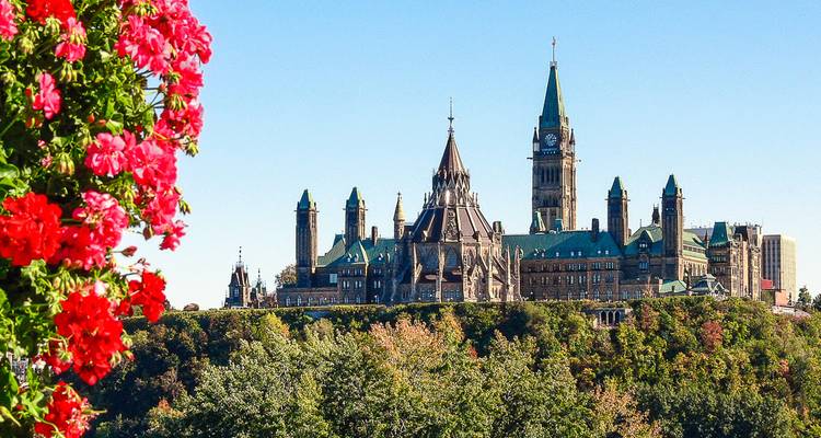 Les bâtiments de la Colline du Parlement d'Ottawa s'élevant au-dessus de la cime des arbres avec des fleurs au premier plan.