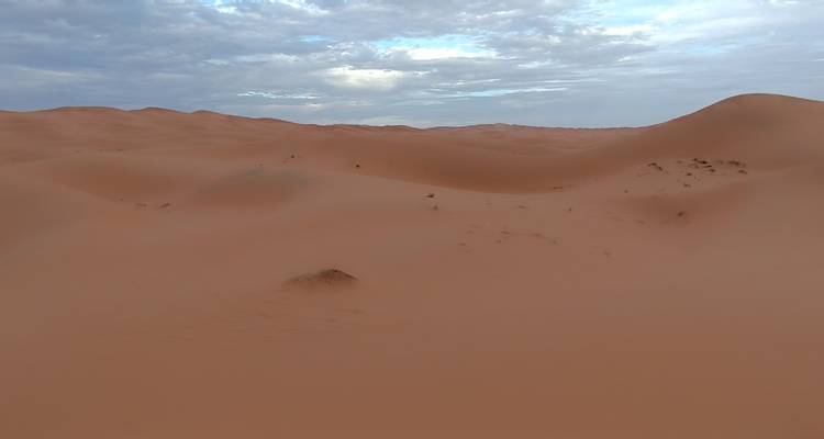 Paysage désertique avec des dunes de sable.