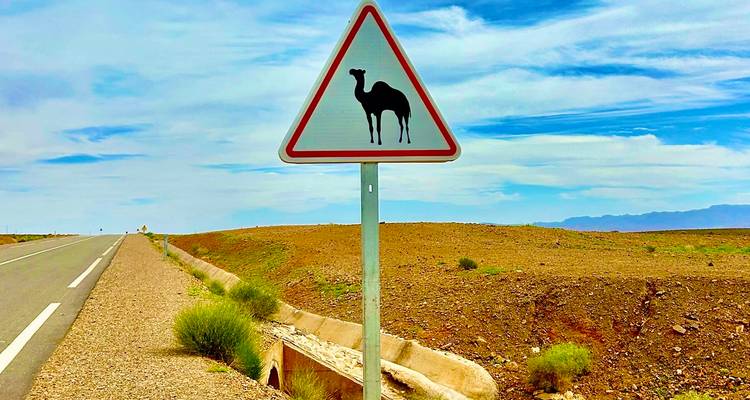 Panneau routier avec une silhouette de chameau sur une route désertique.