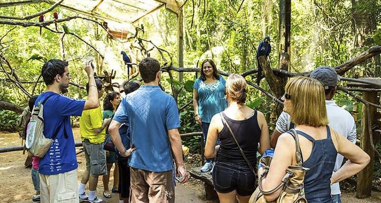 Circuit au cœur de la nature d'Iguazu : Brésil et Argentine (3 nuits/4 jours) - MMC Turismo 6
