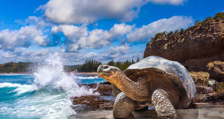 Amazon Lodge et croisière aux Galápagos Extension Lima → Guayaquil (2025) - Travel Marvel 2