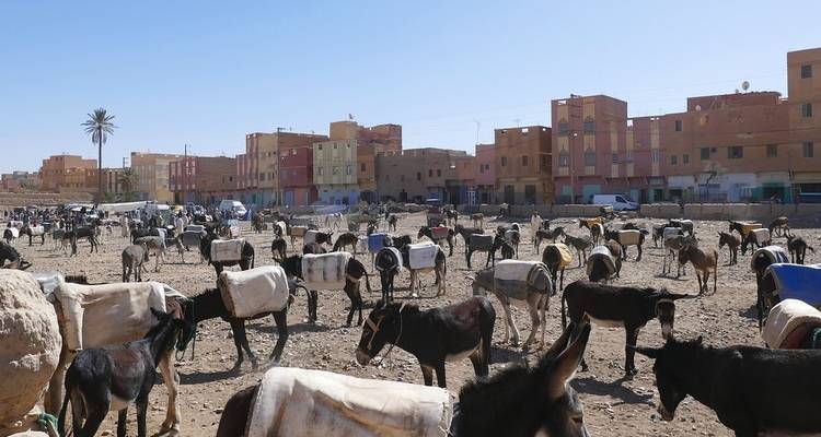 4D/3N Private Desert tour from Fez to Marrakech - Omega Tour 7